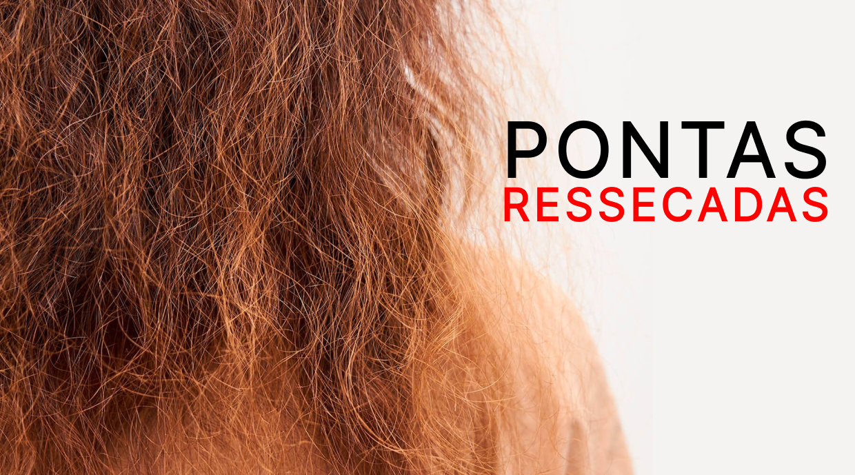 Como recuperar as pontas ressecadas