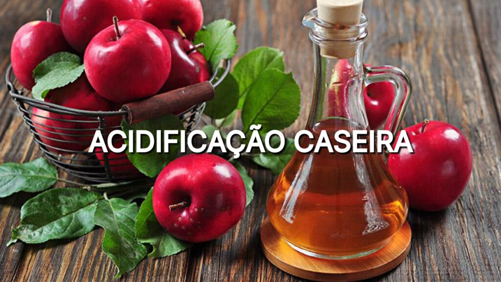 acidificação caseira com vinagre de maça