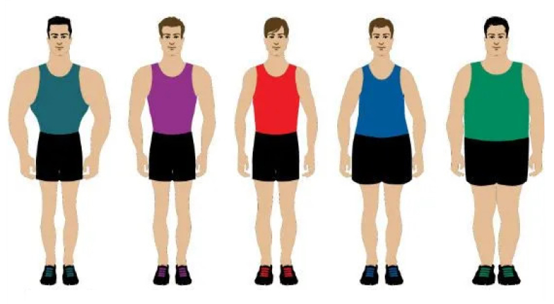 tipos de corpos masculinos