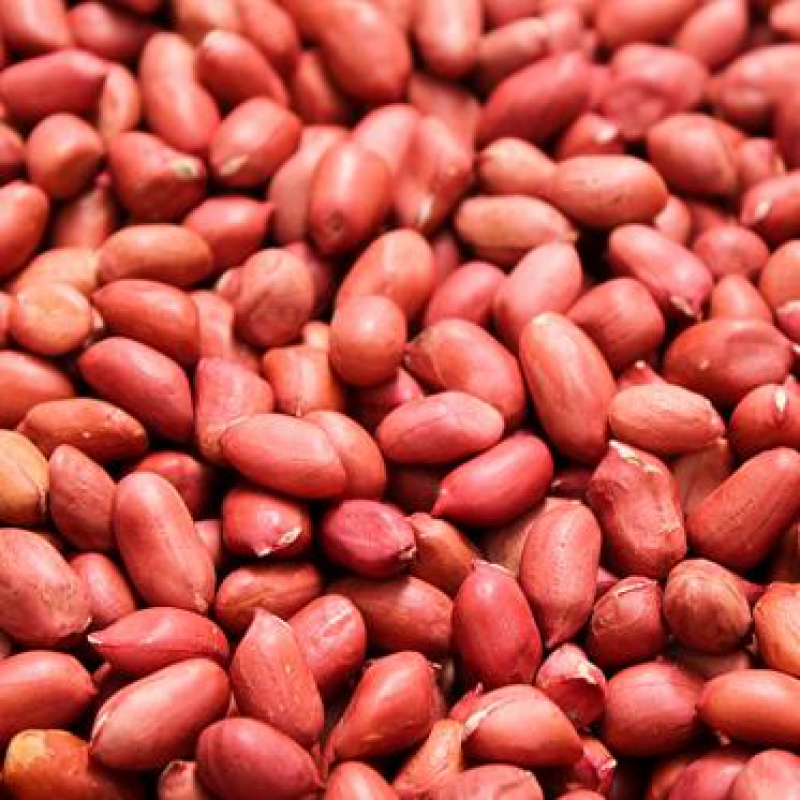 melhores alimentos para ganhar massa muscular