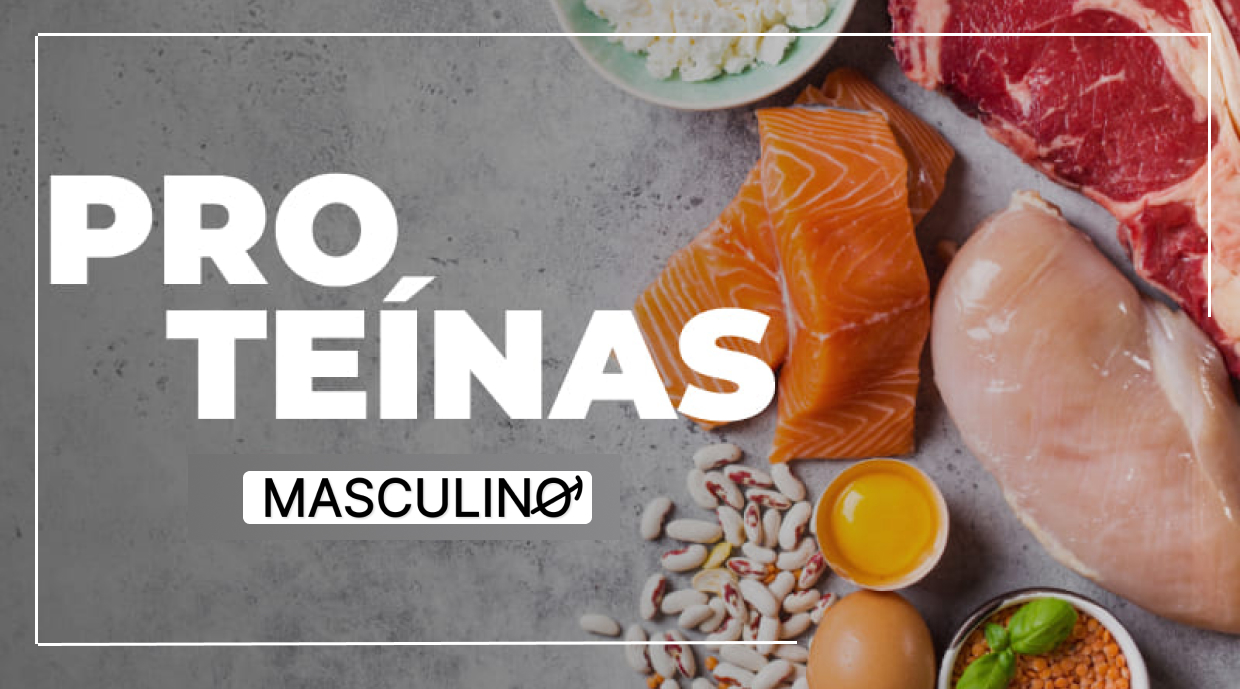 melhores alimentos para ganhas massa muscular