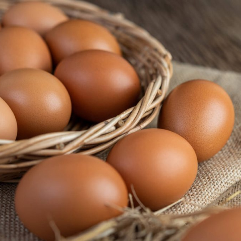 melhores alimentos para ganhar massa muscular