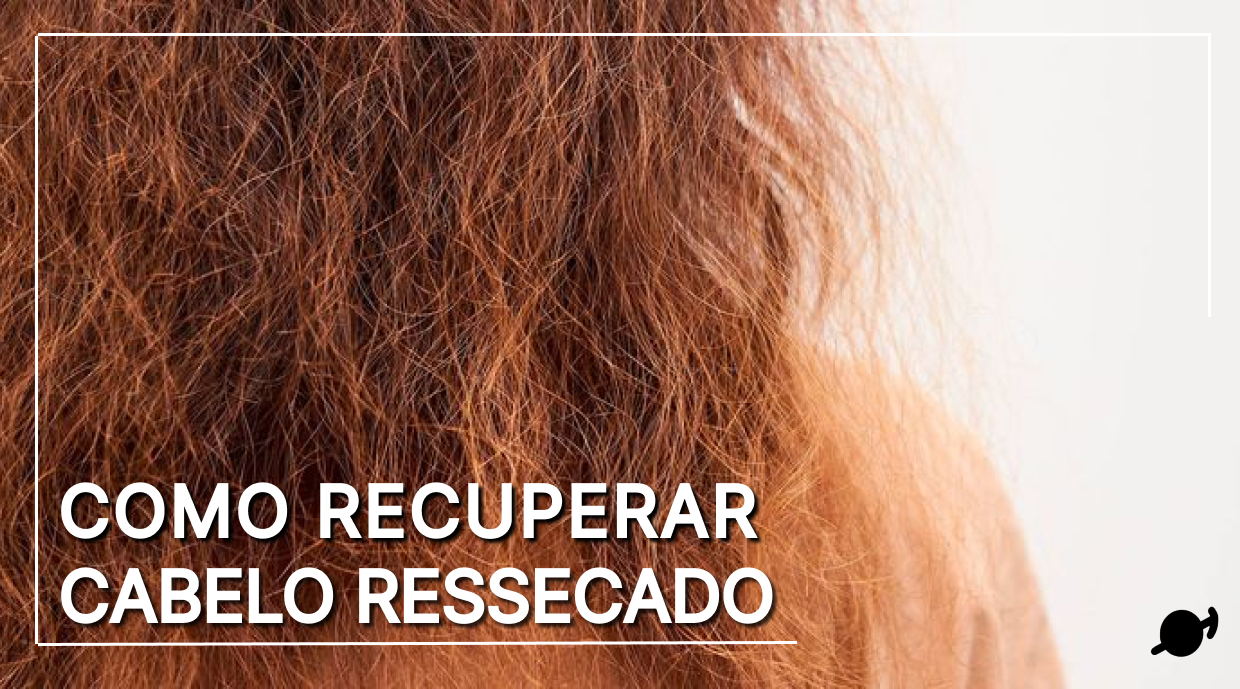 como recuperar cabelo ressecado