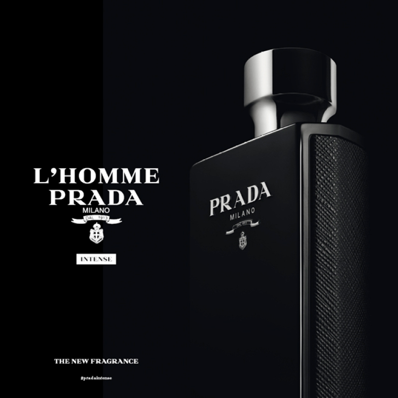 os 10 melhores perfumes masculinos
