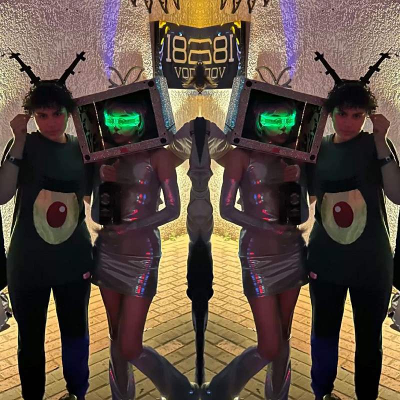 Fantasia de casal para carnaval
