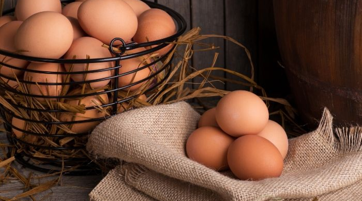alimentos essenciais para uma alimentação saudavel