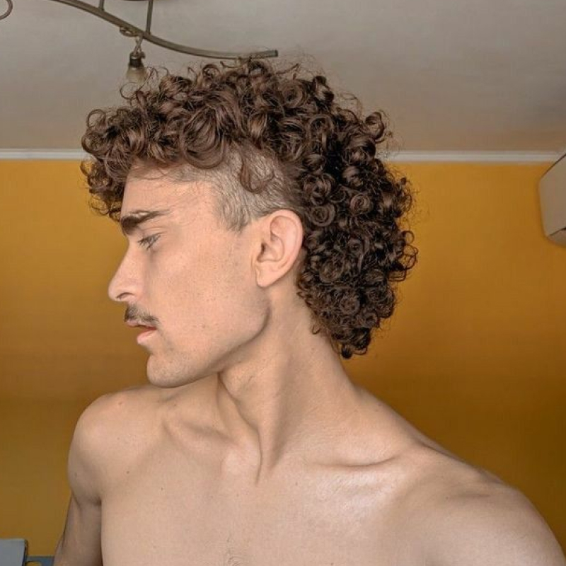 Mullet Masculino Cabelo Cacheado