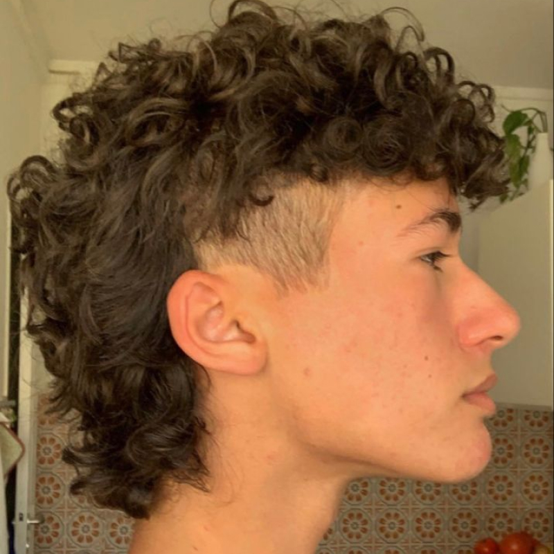 corte de cabelo masculino mullet